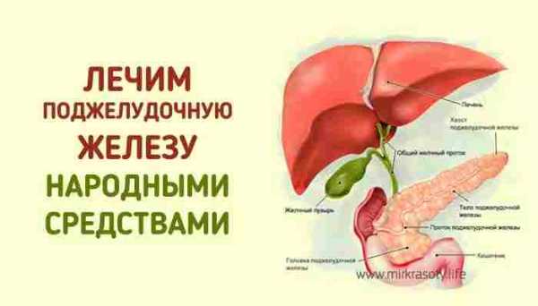 Бартолиновая железа фото где