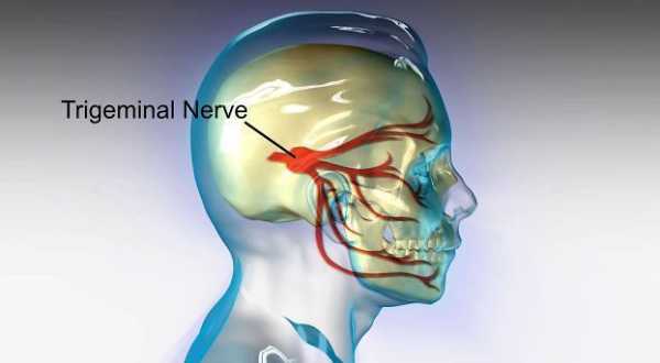 Тройничный нерв на лице симптомы и где находится у человека фото