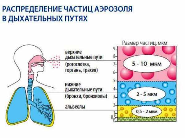 Назонекс при аденоидах у детей схема