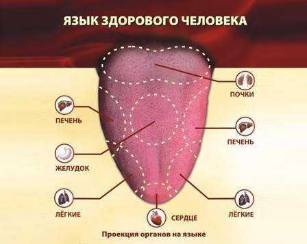 Белый налет на языке фото