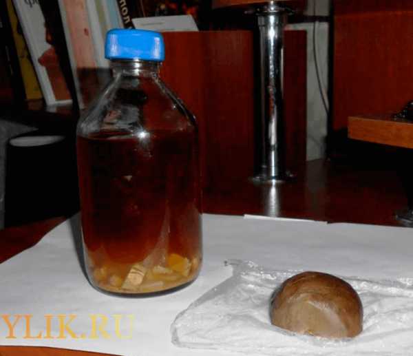 Как приготовить настойку прополиса на спирту в домашних условиях рецепт с фото пошагово