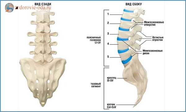 Остеохондроз поясничного отдела карта смп