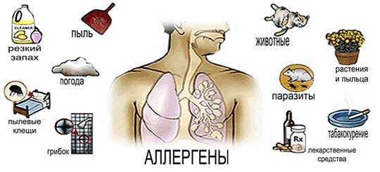 Первая помощь при аллергии картинки