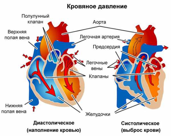 Низкое давление мотора мтз