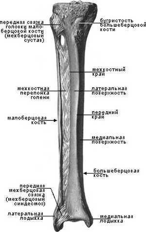 Перелом голени карта смп