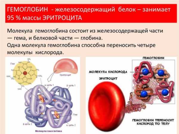 Синдром крови в стуле