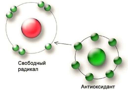 Свободные радикалы фото