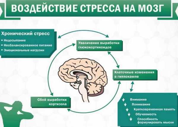 Картинки для успокоения нервов взрослого