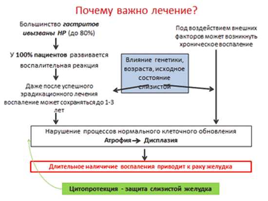 Что значит hp в кс