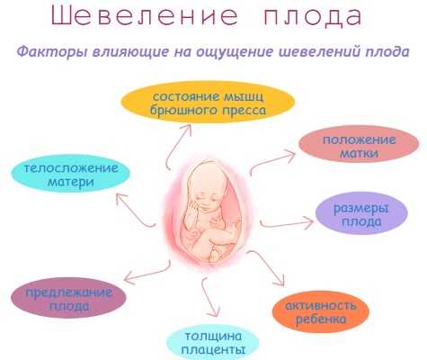 План беременности после замершей беременности