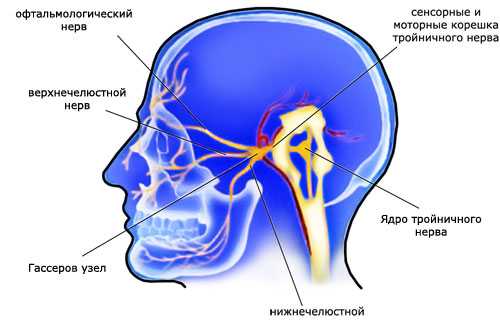Где находится тройничный нерв у человека на лице фото признаки и лечение