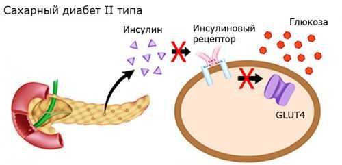 Какую роль могли сыграть липиды в появлении клетки в процессе эволюции