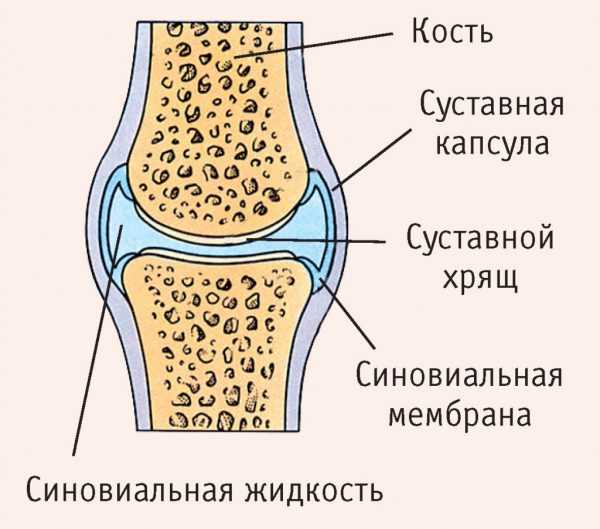 Жидкость в коленном суставе фото