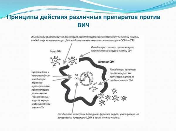 Вич инфекция у детей презентация