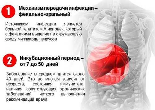 Монокулез это. Гепатиты с фекально-оральным механизмом передачи. Механизм передачи гепатита в. Монокулез последствия.