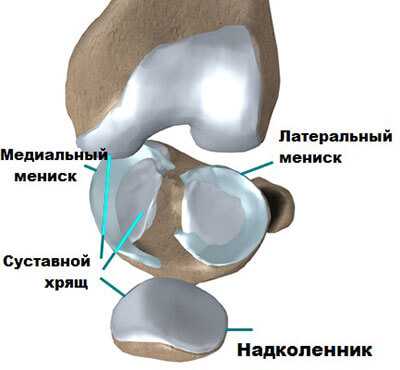 Воспаление мениска фото