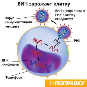 Как происходит заражение почтовым вирусом при открытии зараженного файла